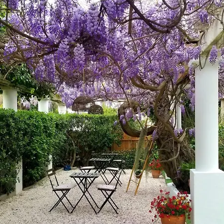 Chez Louis Szálloda 3*